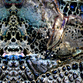 Details from within the image 'Blue'