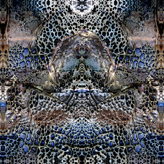 Image created from photographs of rockpools